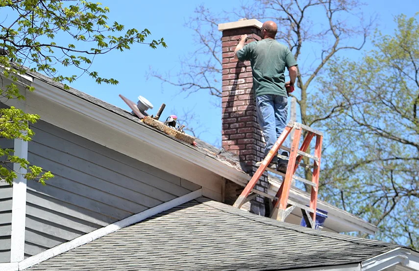 Chimney & Fireplace Inspections Services in Severna Park, MD